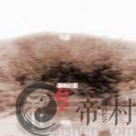 在公墓里选墓地禁忌风水有哪些