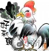 初二日生属鸡人命运好吗？