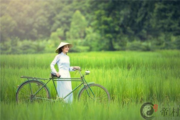 火羊命人生运程如何