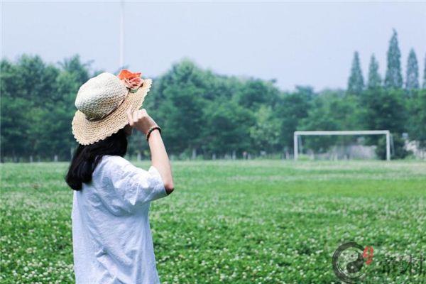 属羊人今后十年大运