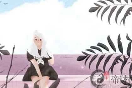 客厅风水：客厅放什么植物旺财