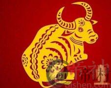 十一日生属牛人命运好吗？