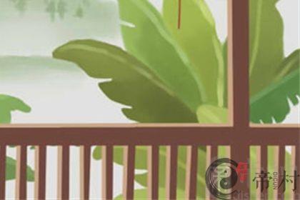 催财聚宝小“能手”翡翠貔貅图片大全