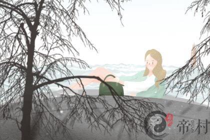 招财龟吃鱼食好吗 它会吃的都好