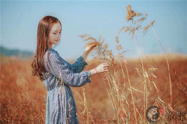 90女马2020运势