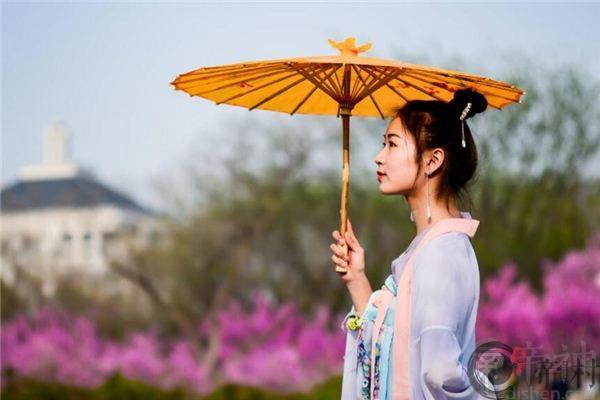 属羊本月运势如何