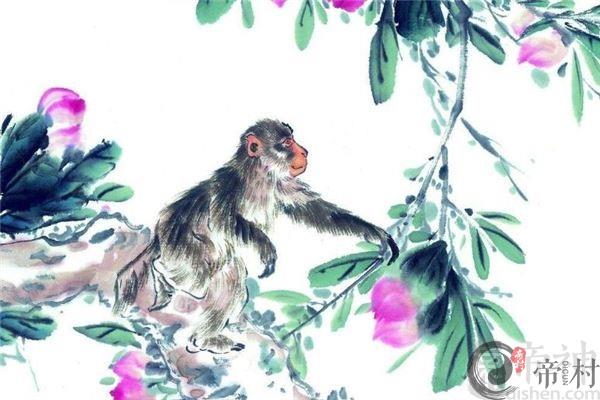 生肖猴本命年要注意什么