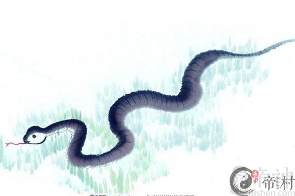 蛇年生宝宝好吗