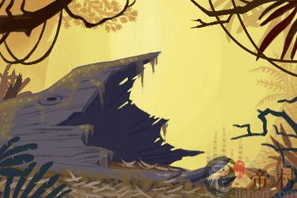 入门玄关风水摆件放什么好？招财纳吉有讲究