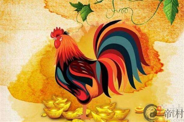2019年属鸡人的运势解析