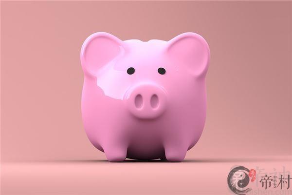 运势大全：2019年属猪运势分析