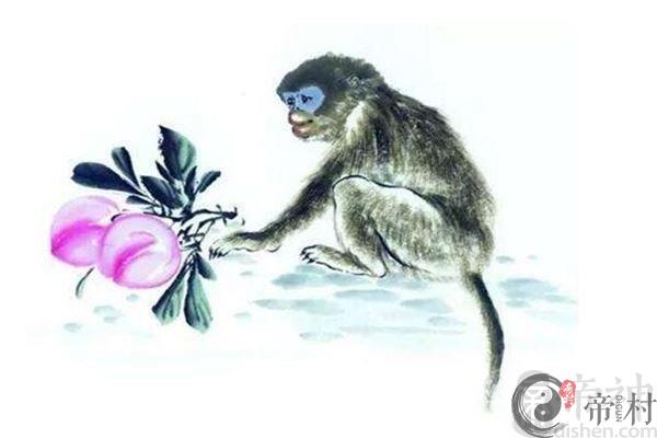 十二生肖中属猴的人命运如何？几点出生最好？