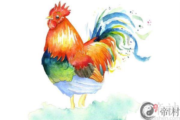 鸡年生宝宝为什么好？