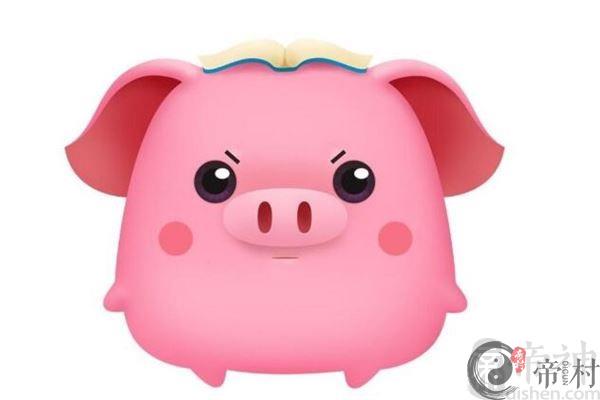 属猪人2019年的命运怎么样