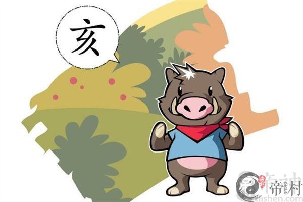 属猪人2019年的运势