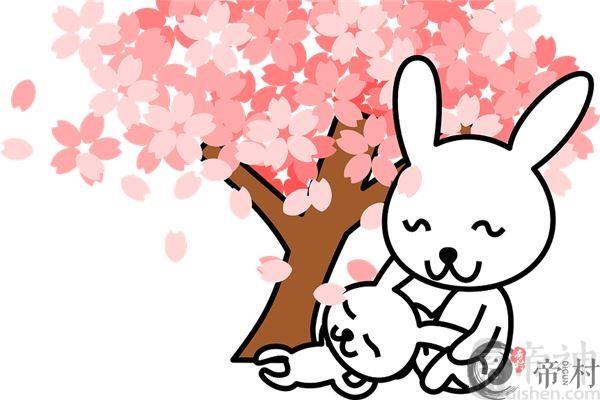 属兔的几月出生最好命？