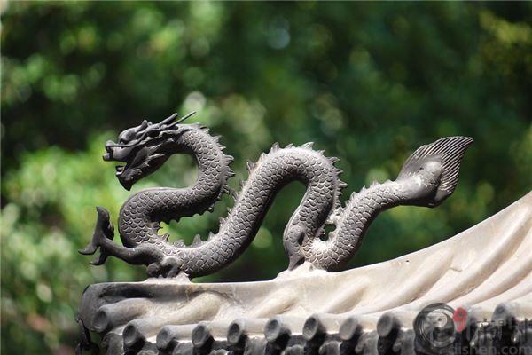 出生运势分析：龙年宝宝几时出生最好
