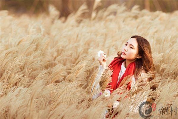 2020年生肖牛需要提防什么