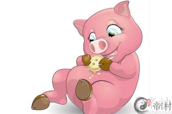 2019年属猪的人今年是几岁