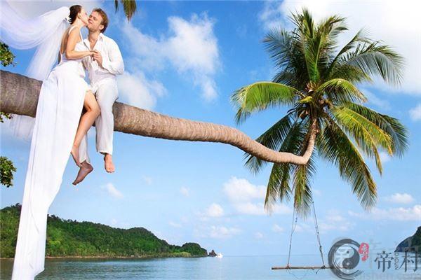 属虎的人命运与婚姻