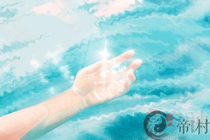 风水蝴蝶兰的养殖方法和注意事项
