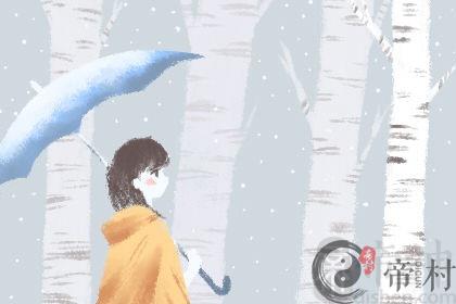 风水解说：家中的财位放什么好