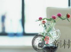 花瓶摆放的家居风水