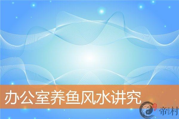 办公室养鱼风水讲究