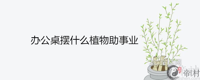 办公桌摆什么植物助事业运和财运
