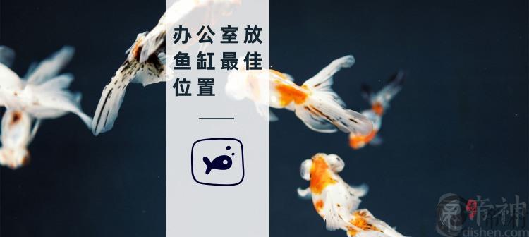 办公室放鱼缸最佳位置在哪里