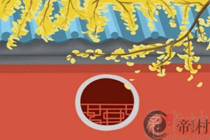植物风水：平安树怎么养？