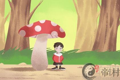 宅中设置水池需要注意什么？