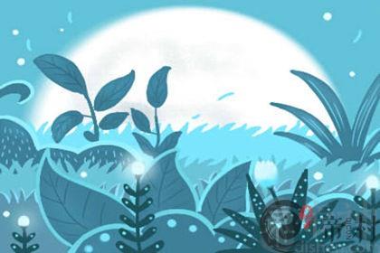 许少锋：如何正确供奉财神？