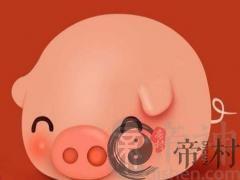 属猪的人不宜和什么属相结婚