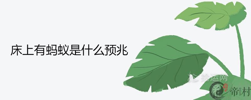 床上有蚂蚁是什么预兆 是发财的好兆头吗