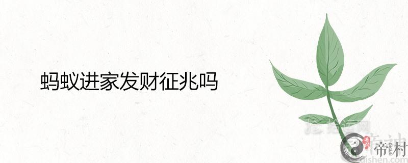 蚂蚁进家发财征兆吗 代表什么风水寓意
