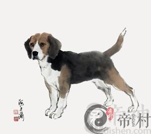属狗农历十月财运如何 整体运势好吗