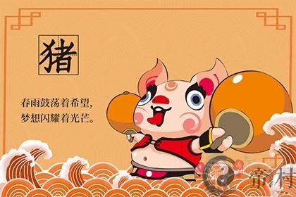 凌晨出生的猪宝宝好吗 属猪宝宝的运势怎么样