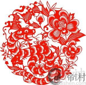 猫狗双全 属蛇的人养这些宠物比较好