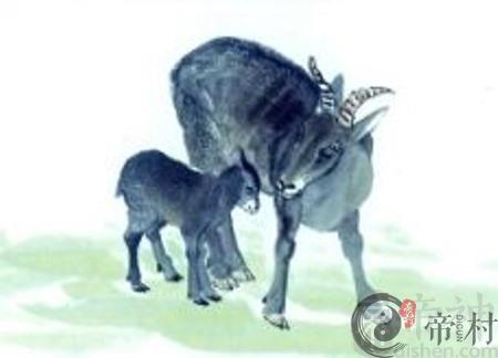 女羊男兔的婚姻怎么样，属羊女是什么性格？