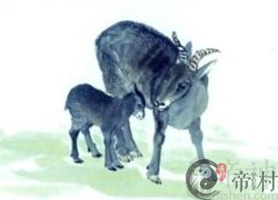 男羊女牛能过一辈子吗 会不会吵架