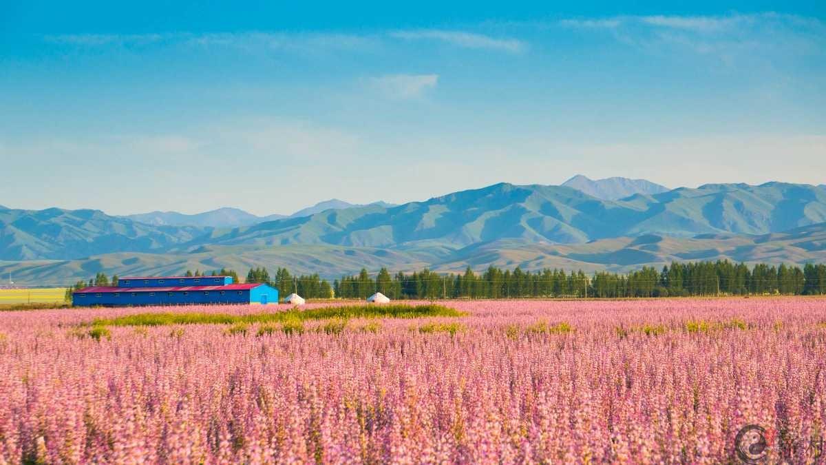 2019年2月属兔的人桃花运怎么样，如何提升桃花运