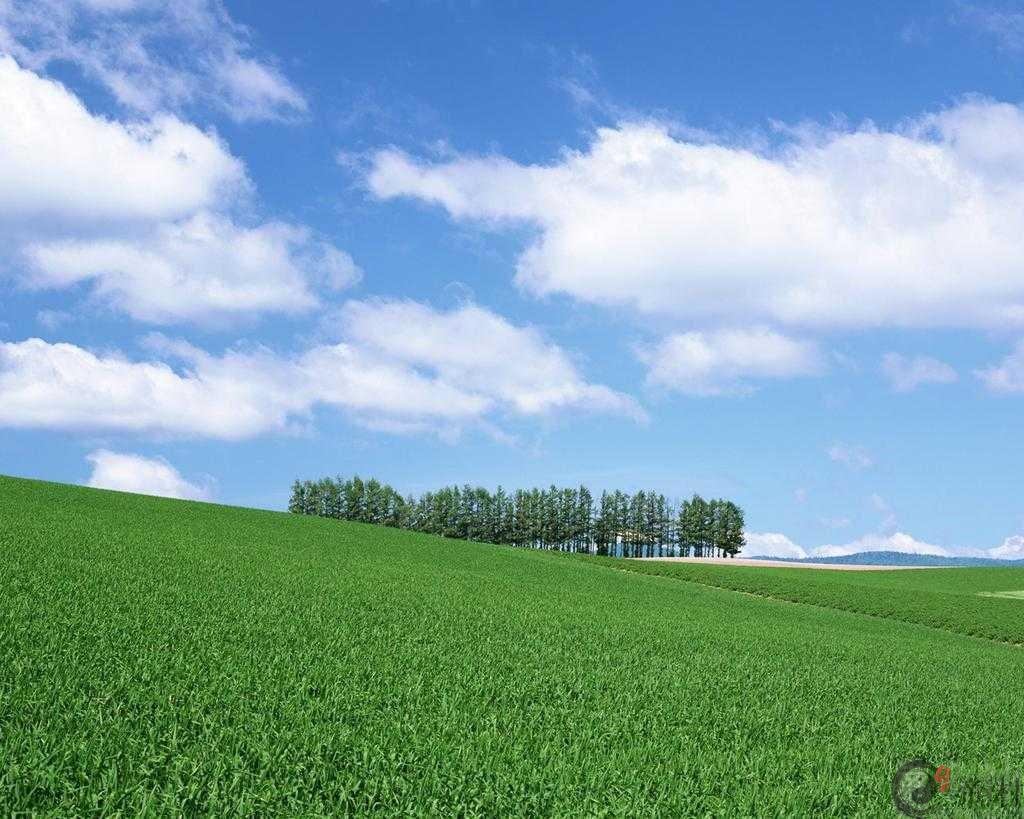 2019年7月属兔的人事业运势怎么样，如何提升事业运