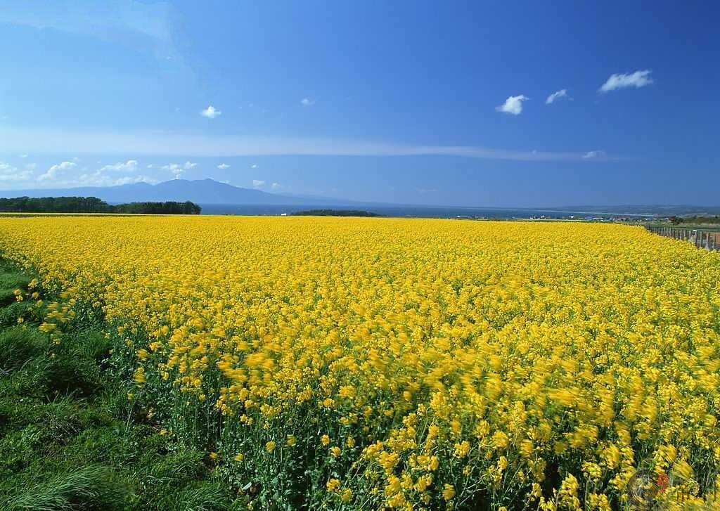 2019年6月属兔的人什么运最好