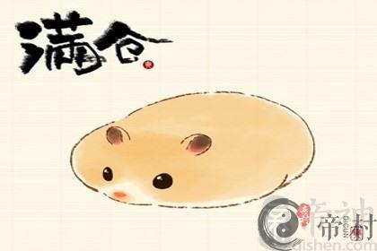 96的鼠与什么相克 又与什么相配