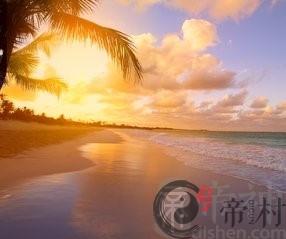 属羊和属兔相冲吗，属羊和属兔的婚姻怎么样