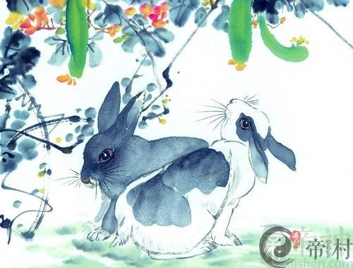 2018年11月属兔什么运最好