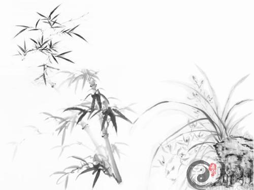 老公属鼠我属牛2019年怀孕生孩子好不好?几月生宝宝最好