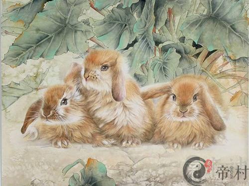 生肖兔本周的整体生肖运势（2019.11.25-12.1）