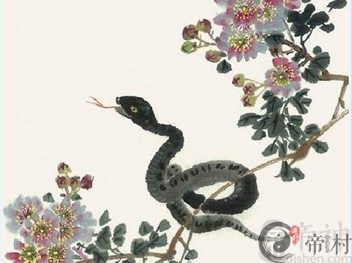 生肖蛇本周综合生肖运势如何（2020.1.13-1.19）